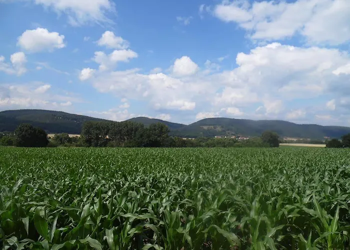 Thueringer Edelhof Otel Uhlstädt
